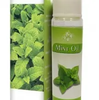 SAC Mint Oil 10ML