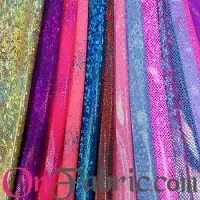 Nylon Lycra Hologram Printed Knit