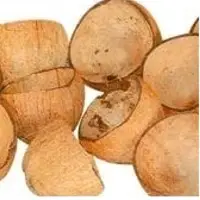 Coconut Shell Two Halves