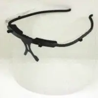 Oechsler Face Shield