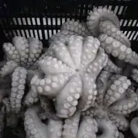 Frozen Octopus Flower