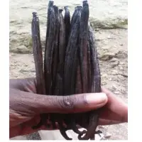 Organic Vanilla