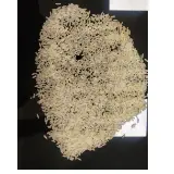IR 64 Parboiled Rice
