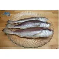 Croakers Fish