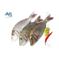 Long Nose Emperor Fish