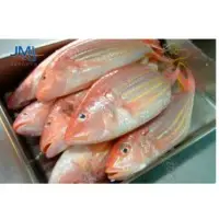 Japanese Thread Fin Bream Fish