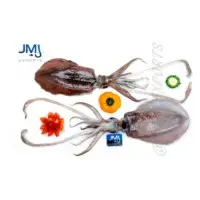 Thondi Squid