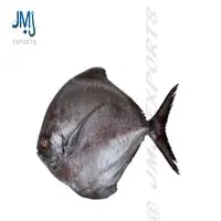 Black Pomfret