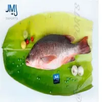 Blood Red Snapper