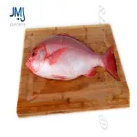 Pinjalo Snapper