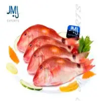 Red Mullet