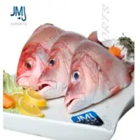 Red Snapper Fish