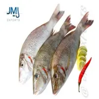 Red Spot Emperor