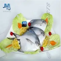 Silver Pomfret