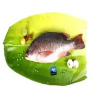 Sweet Lip Fish