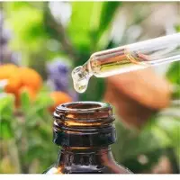 Carrier Oils