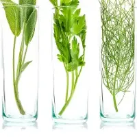 Herbal Extracts