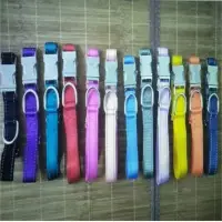 Dog Collar