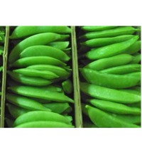 Succulent Sugar Snap Peas