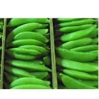 Succulent Sugar Snap Peas