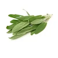 Fresh Sage