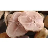 Crocodile Meat