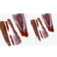 Impala Meat