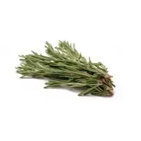 Fresh Rosemary