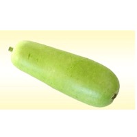 Dudhi