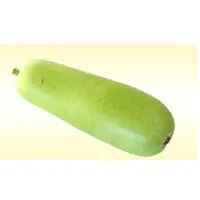 Dudhi