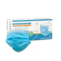 Surgical Mask
