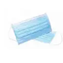 Type Ii Surgical Mask (10 units)