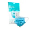Type Ii Surgical Mask (10 units)
