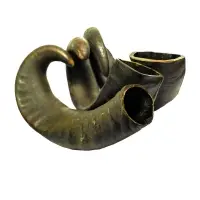 Water Buffalo Horn