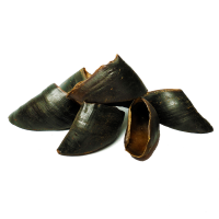 Water Buffalo Hooves