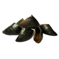 Water Buffalo Hooves