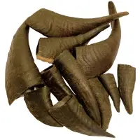 Mountain Goat Horn
