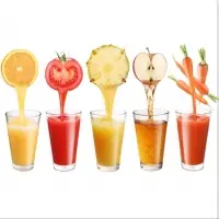 Fruit Pulp