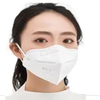 N95 Face Mask