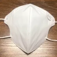 N95 Face Mask
