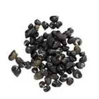 Winkles or Periwinkles