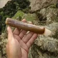 Razor Fish