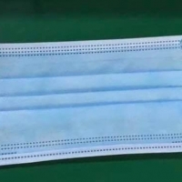 3 Ply Mask