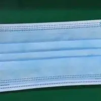 3 Ply Mask