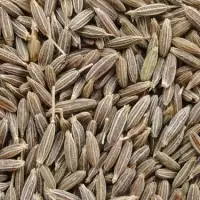 Cumin Seeds