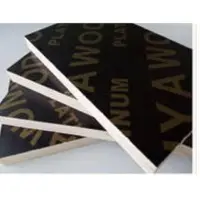 Film Faced Coated Plywood