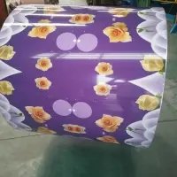 Prepainted Galvanized Steel Coil