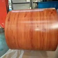 Prepainted Galvanized Steel Coil With Flower