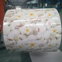 Ppgi Steel & Gi Ppgi Coil From China