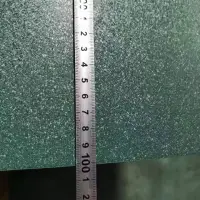 Galvanized Steel Coil/Sheet/Plate/Strip